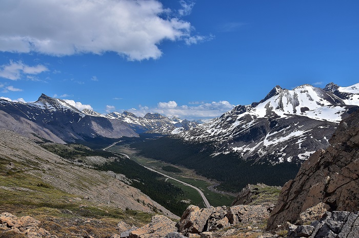 Icefields Parkway - Wilcox Pass - Viewpoint
