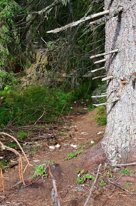 Klopapierweg in der Hohen Tatra