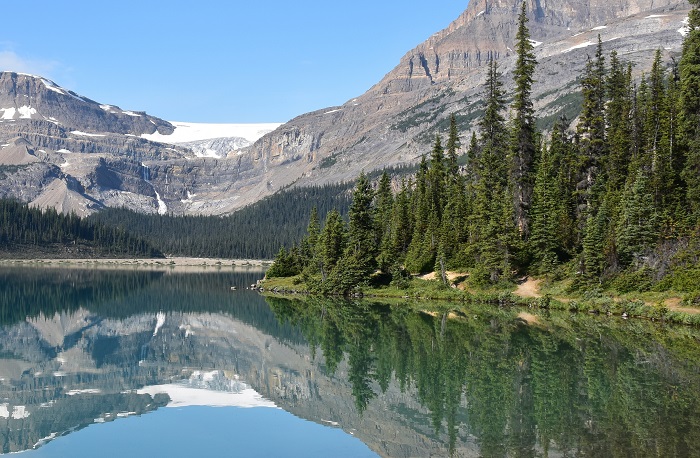 Bow Glacier am Bow Lake