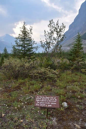 Robson Glacier Schild 1911