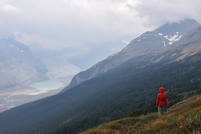 Saskatchewan Glacier aus der Sicht von Parker Ridge