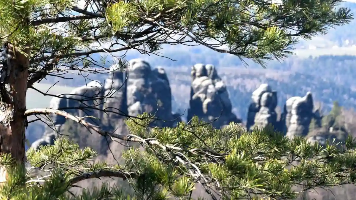 Sächsische Schweiz, Schrammsteine vom Malerweg aus fotografiert von Verena Schmidt für den Wanderführer und die Vorträge