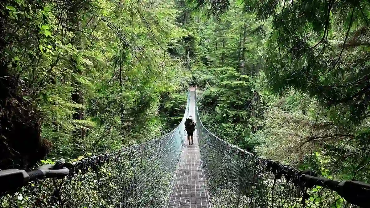 Juan de Fuca Trail auf Vancouver Island in Westkanada, fotografiert von Verena Schmidt für den Wanderführer und die Vorträge