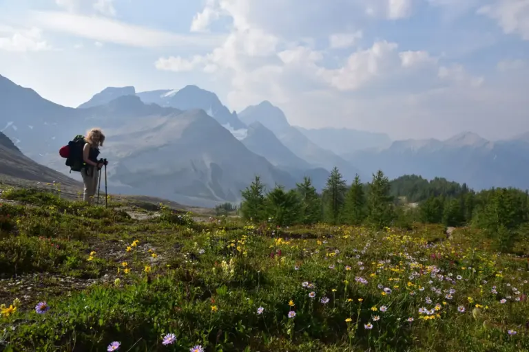 2 Sommer in den Rockies - Malik, Piper, National Geographic, Reiseabenteuer von Analena Schmidt und Verena Schmidt, Rockwall, Kootenay NP Kanada