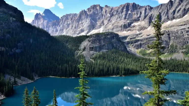 Zwei Sommer in den Rockies internAKS240627 6 Lake O'Hara, fotografiert von Verena Schmidt auf ihrer Reise 2 Sommer in den kanadischen Rockies