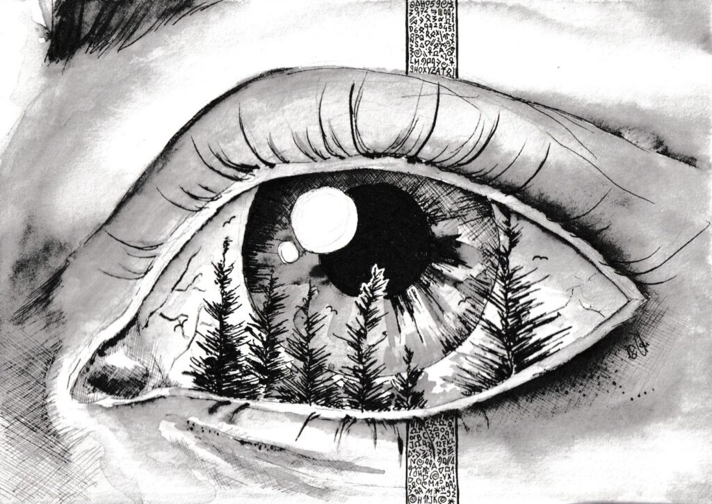 Zwei Sommer in den Rockies internAKS240627 16 Wald im Auge - Zeichnung der Illustratorin Analena Schmidt für das Buch Zwei Sommer in den Rockies